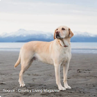 Avatar de BouleEtBill666