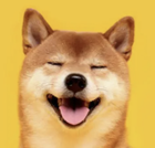 Avatar de BTC-Tricycle2