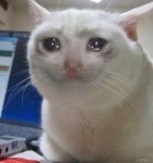 Avatar de CactusOignon