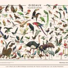 Avatar de CarteDesCuicuis