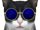 Avatar de CattusPuanticus