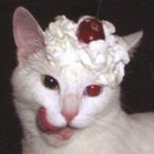 Avatar de Cerisesurlecato