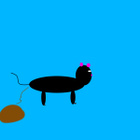Avatar de ChiasseDeRAT