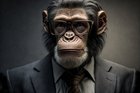 Avatar de CorporateChimp