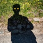 Dacoeur