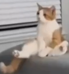 Avatar de DDBeurFou2