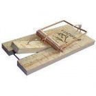 Avatar de DeratiseurILOL