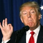 Avatar de DonaldoTrumpo10