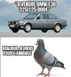 Avatar de E39_Asthmatique