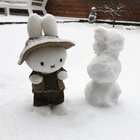 Avatar de Edelweisst