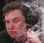 Avatar de Elon_Reborn