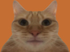 Avatar de ElProlaxor11