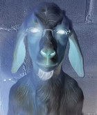 Avatar de Enanosvp