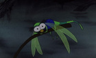 Avatar de Evinerude11