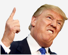 Avatar de FAKE-TRUMP