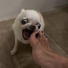 Avatar de Fan-2-Feet