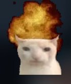 Avatar de FaurissonSec8