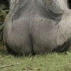 Avatar de Fiak2Gorille