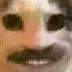 Avatar de FreeddieMercury