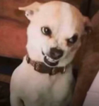 Avatar de Gamghaifien