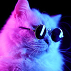 Avatar de goodguy56