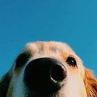 Avatar de GoudaJambon02