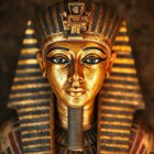 Avatar de HerzogIdealiste