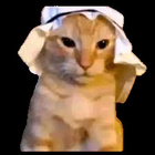 Avatar de hkvvk