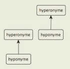 Avatar de Hyponyme