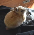 Avatar de I_________I