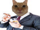 Avatar de InBigDespite2