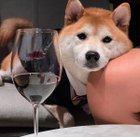 Avatar de INTRUSTWEGOD