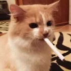 Avatar de JaimeLhumanite_