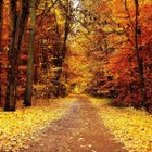 Avatar de Jaimelire90