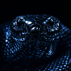 Avatar de JohnPerkins