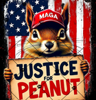 Avatar de JusticePeanut2
