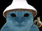 Avatar de Katze-schlumpf