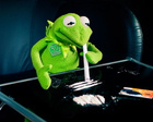 Avatar de Kermit-the-king
