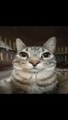 Avatar de KheyObstine