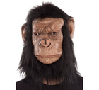Avatar de KingCon2