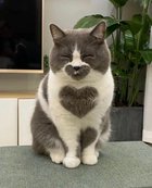 Avatar de LaNarration