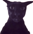 Avatar de Larrytetouche