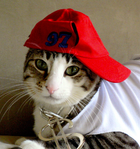 Avatar de LaskarPRAU