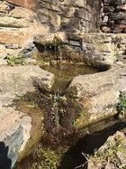 Avatar de LavoirPoretto2