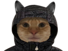 Avatar de LeChaddufofo13