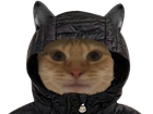 Avatar de LeChaddufofo17
