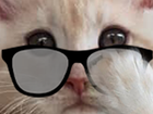 Avatar de LeChatDeFreud
