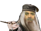 Avatar de LeDruideLeVrai