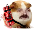 Avatar de Lekiwitas