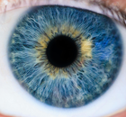 Avatar de LeLastBleu